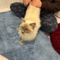 Photo of Casper