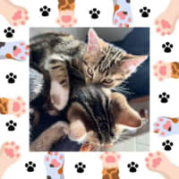 Photo of Gert