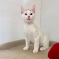 Photo of Bernie   Located In Bellfield