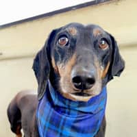 Photo of Benji And Saide