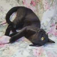 Photo of Pretzel 🥨