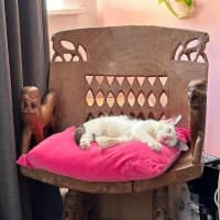 Photo of Seraphina