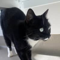 Photo of C1491 Billie