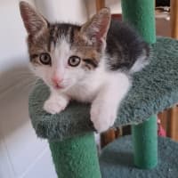 Photo of Ralphie