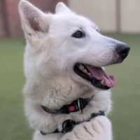 Photo of Storm
