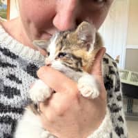 Photo of Little Leah