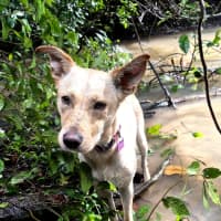 Photo of Marley 