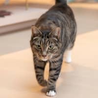 Photo of Louie Haliwell