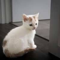 Photo of Leo