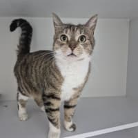 Photo of Daphne 