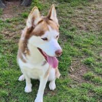 Photo of Hazel