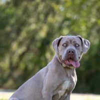 Photo of Sienna