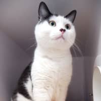 Photo of Poh Sta013967