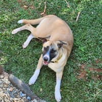 Photo of Shilo