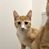 Photo of Crumbs
