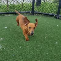 Photo of Dorothy Imp 2569