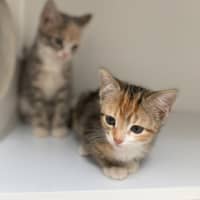 Photo of Helsinki (9961)