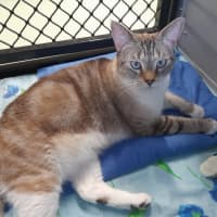 Photo of The Vivienne