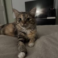 Photo of Samara Mae 