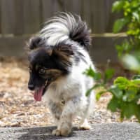 Photo of Betsy Moriarty