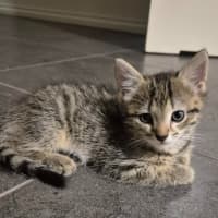 Photo of Winnie