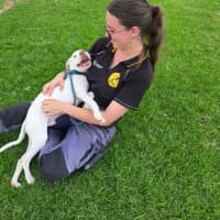 Photo of Pretzel Imp 719