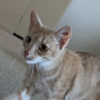 Photo of Ivy