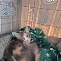 Photo of Ella! ❤️