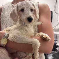 Photo of Tilly