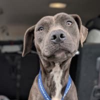 Photo of Bumble