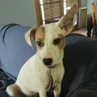 Photo of Kia