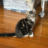Photo of Edmond