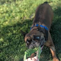 Photo of Axle