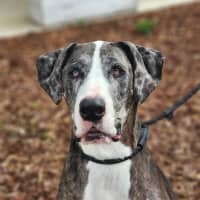 Photo of 🎭 Wednesday 6534 🎭