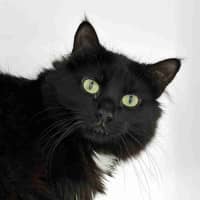 Photo of Beau Rstk012603