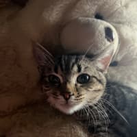 Photo of Elordi