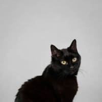 Photo of Mabel 