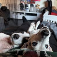 Photo of Ruby And Vincent Silvanus