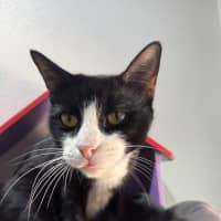 Photo of Pretty Girl