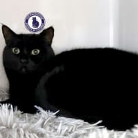 Photo of Ebony Sua012975