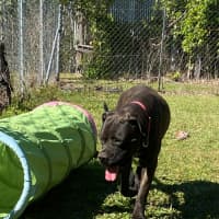 Photo of Mandy