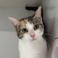Photo of Delilah