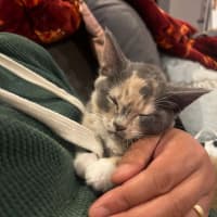 Photo of Smoochie