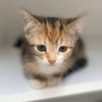 Photo of Helsinki (9961)