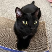 Photo of Phineas