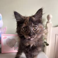 Photo of Peggy