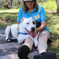 Photo of Buddy