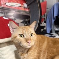 Photo of Bert
