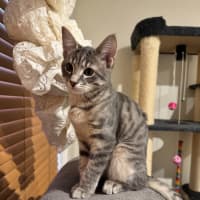 Photo of Freddie Aka Freaking Freddie