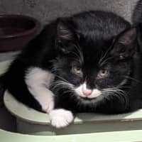 Photo of Beanie